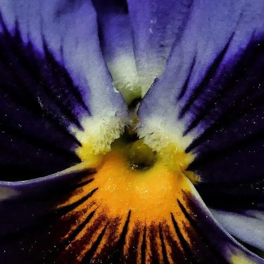 #fotartplgz #bnesimppl #traveldestinations_ig #dettagli Edited with: @carbonblackandwhite _ #weather #skylovers #natureporn #amazing #skypainters #gf_daily&hellip;