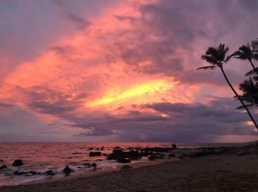 ”Dreams are but the secret desires and premeditated fears played-out within the one place&hellip;