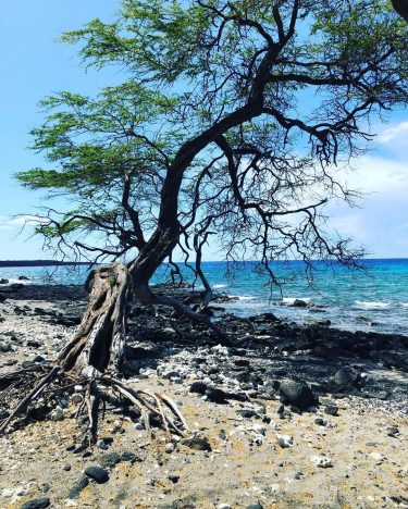 The big island of Hawaii is by far one of my favorite places. This&hellip;