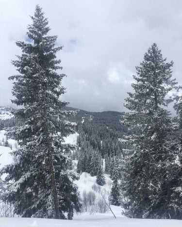 Les Saisies, French Alps