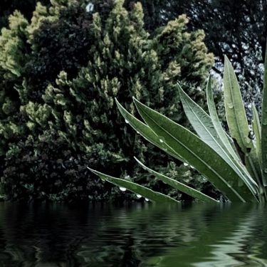 #fotartplgz #bnesimppl #traveldestinations_ig Edited with: @carbonblackandwhite _ #weather #skylovers #natureporn #amazing #skypainters #gf_daily #light&hellip;