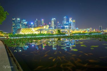 Singapore city scape . Gardens by the Bay ———————————————————————— Loc | Singapore Moment |&hellip;