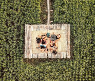 Four friends on a platform surrounded by luscious green how could it not be&hellip;