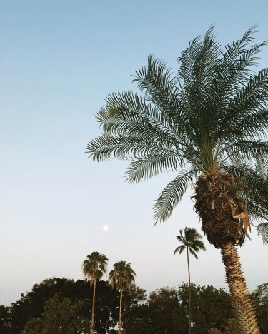 I wish the moonrise was more convenient out here in Hawaii