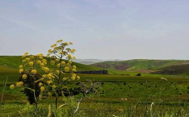 La primavera – – – – #italia???????? #aboutatravel #sicily #ig_sicily #travelmood #travelphotography #igrs #travelpic…