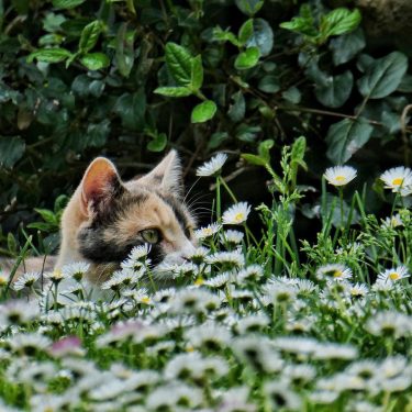 #fotartplgz #bnesimppl #traveldestinations_ig #gatti Edited with: @carbonblackandwhite _ #weather #skylovers #natureporn #amazing #skypainters #gf_daily&hellip;