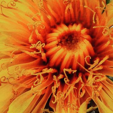 #dettagli #fotartplgz #bnesimppl #traveldestinations_ig Edited with: @carbonblackandwhite _ #weather #skylovers #natureporn #amazing #skypainters #gf_daily&hellip;