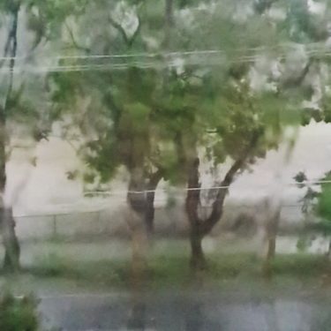 #rainyday #rainydays #rain #naturephotography #naturelovers #natureisawsome #naturephotographer #livestrong #liveandletlive #videography #videostar #videos #lovethisweather #beautiful&hellip;