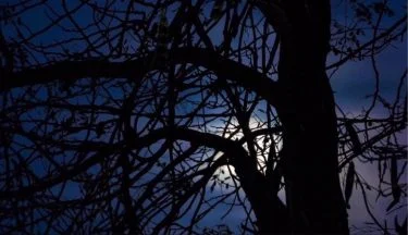Don’t tell me the moon is shining; show me the glint of light on&hellip;