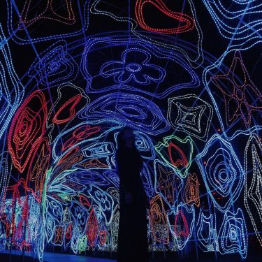 How my brain feels Monday mornings, all a bit squiggly and crazy