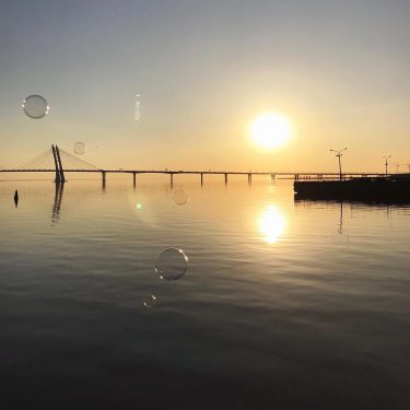 Уже можно подставлять солнышку мордашки️️