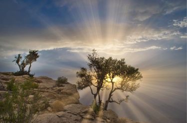 A Ray of Hope …. . A person requires support from his family, friends&hellip;