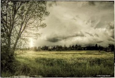 #fotartplgz #bnesimppl #traveldestinations_ig Edited with: @carbonblackandwhite _ #landscape #amazing #view #trip #tree #sky #mountains&hellip;