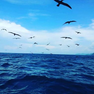 Y tu cielo es aquí más hermoso  y el mar azuloso me invita a&hellip;