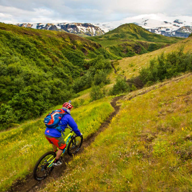 A cyclist navigates a vibrant, unconventional landscape, showcasing the joy of pedaling through a picturesque paradise.