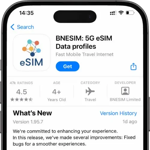 Screenshot of the BNESIM app download interface, showcasing its features for potential users.
